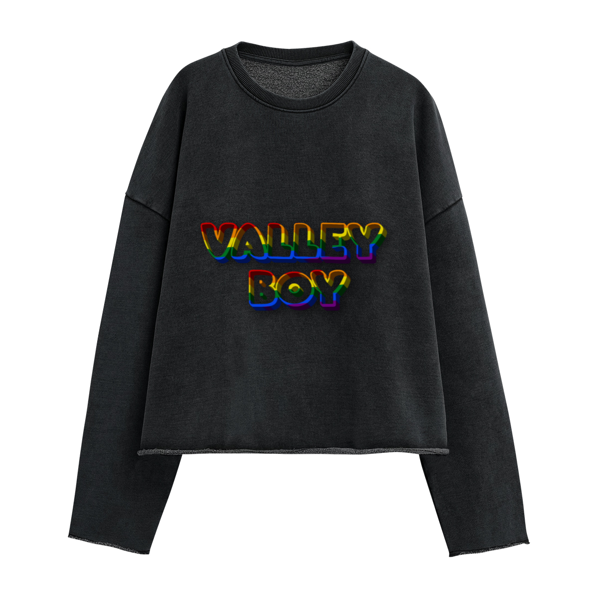 VBOY Washed Cropped Sweatshirt